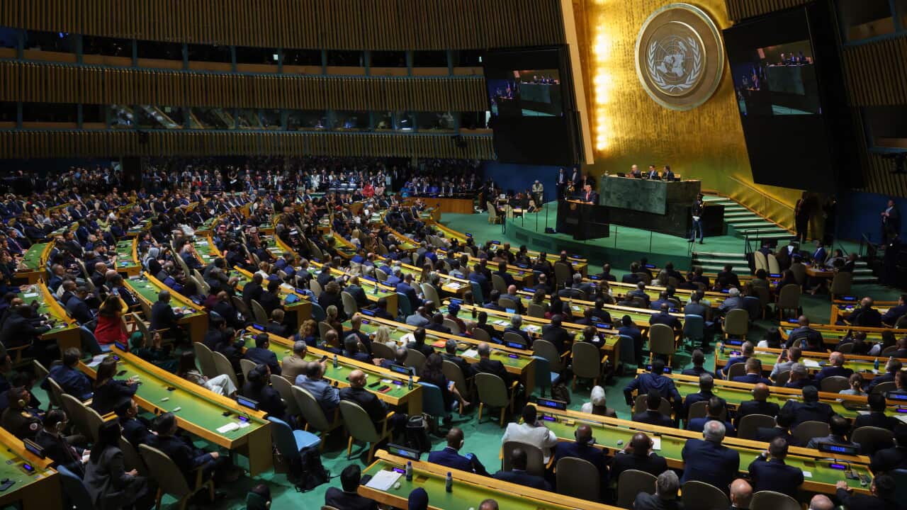People in chairs in an amphitheatre. The stage has a large gold backdrop.