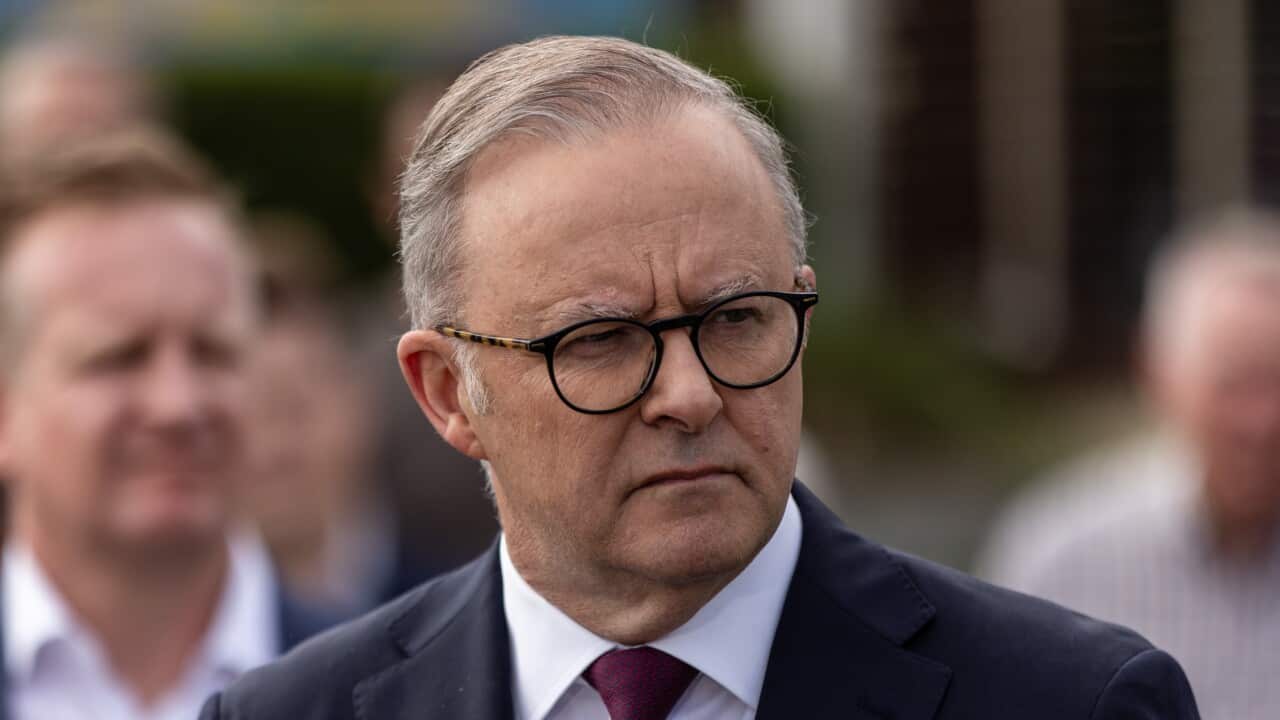 Anthoney Albanese looking stern