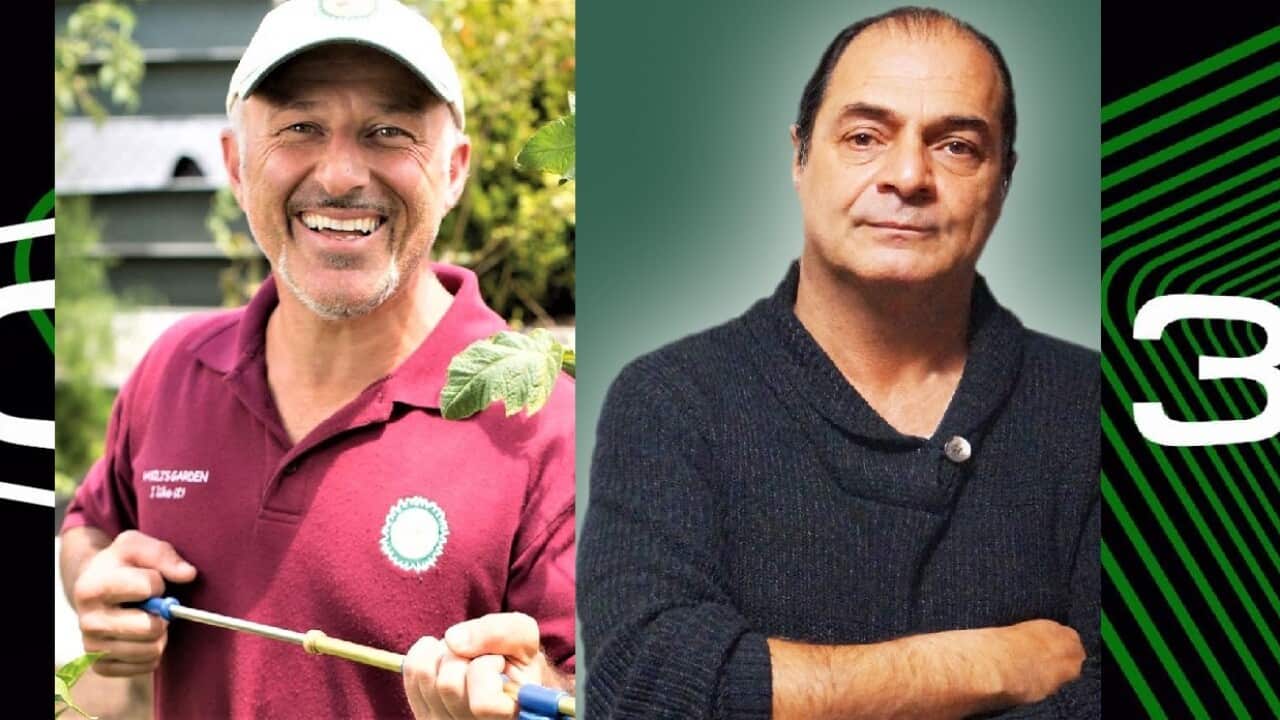 Image for read more article 'READ MORE'