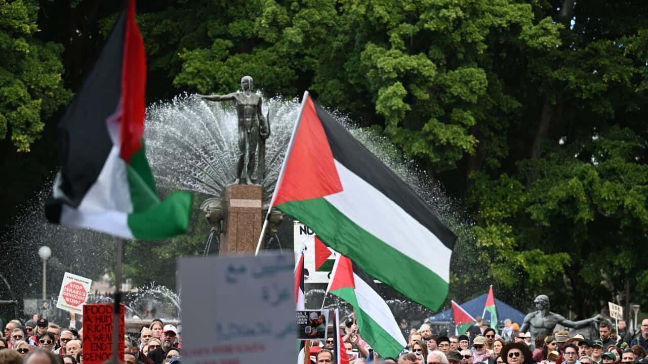 PRO PALESTINE RALLY SYDNEY