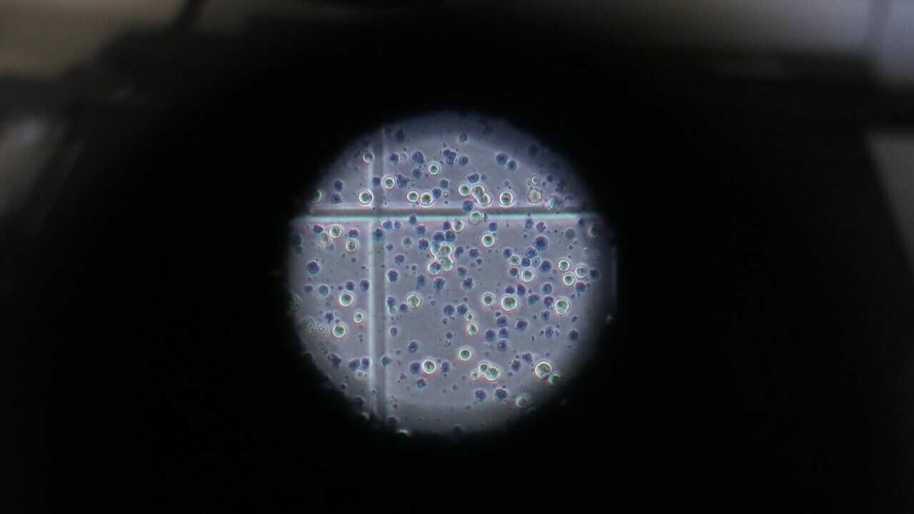 Image for read more article 'READ MORE'