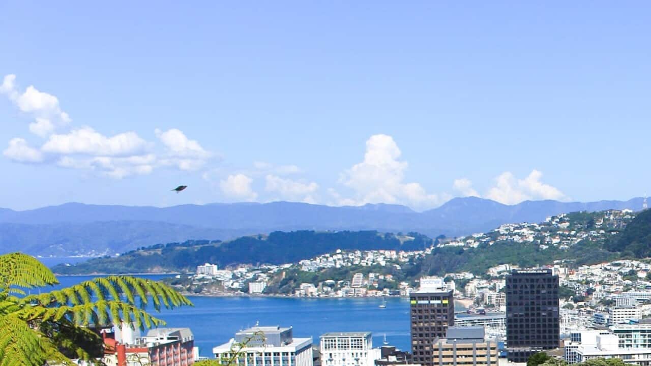Wellington Skyline