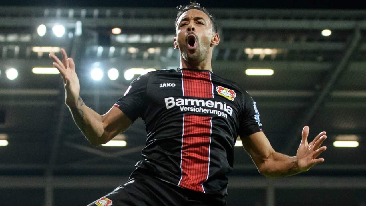 Bayer Leverkusen Mainz Bundesliga Peter Bosz
