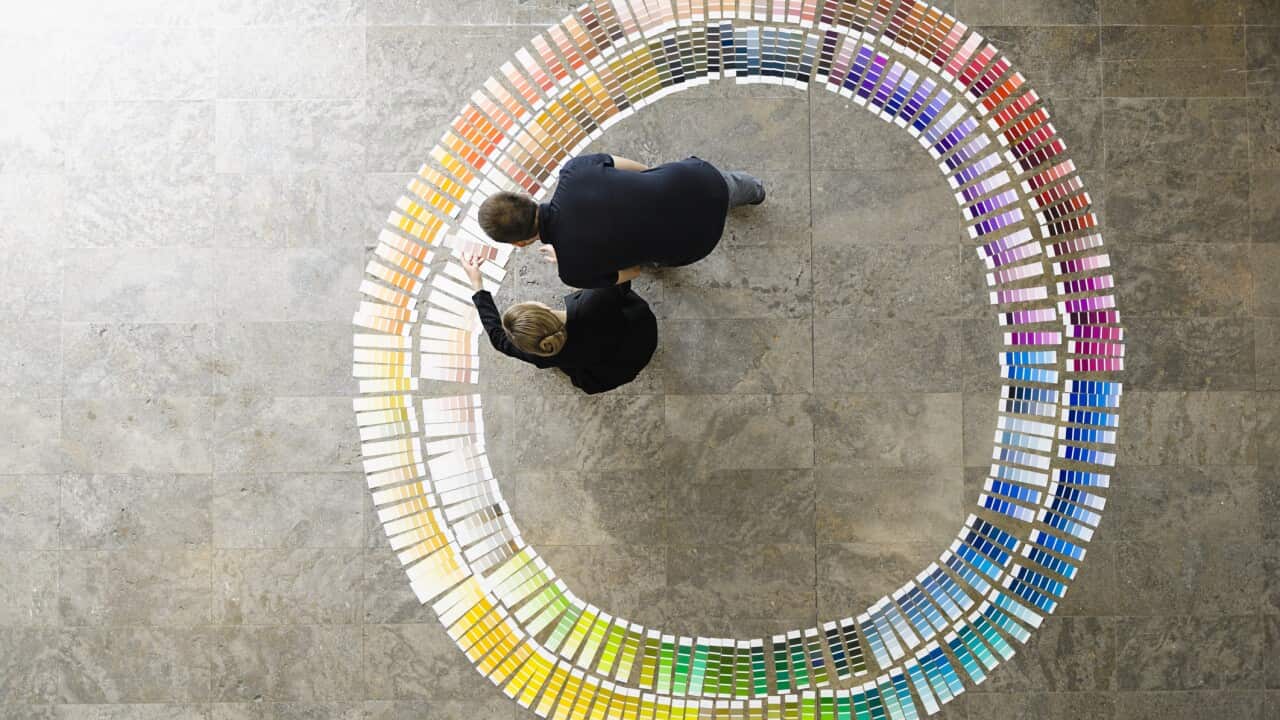 Business people examining paint swatches