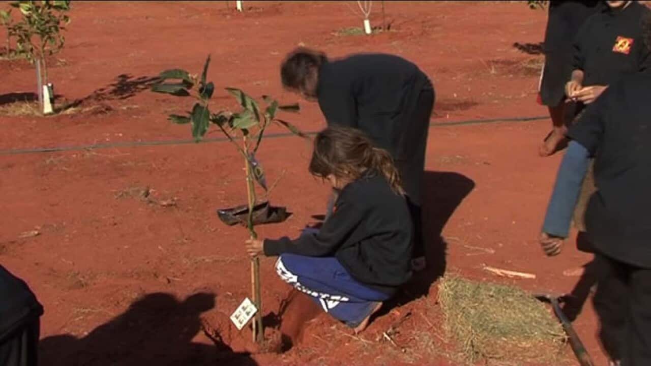APY 00031322_1074912060