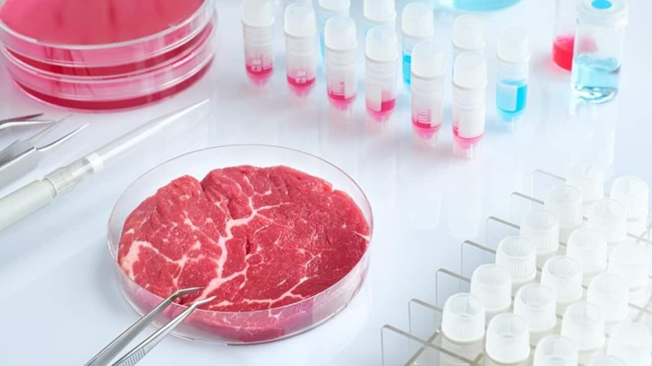 lab_meat1.jpg