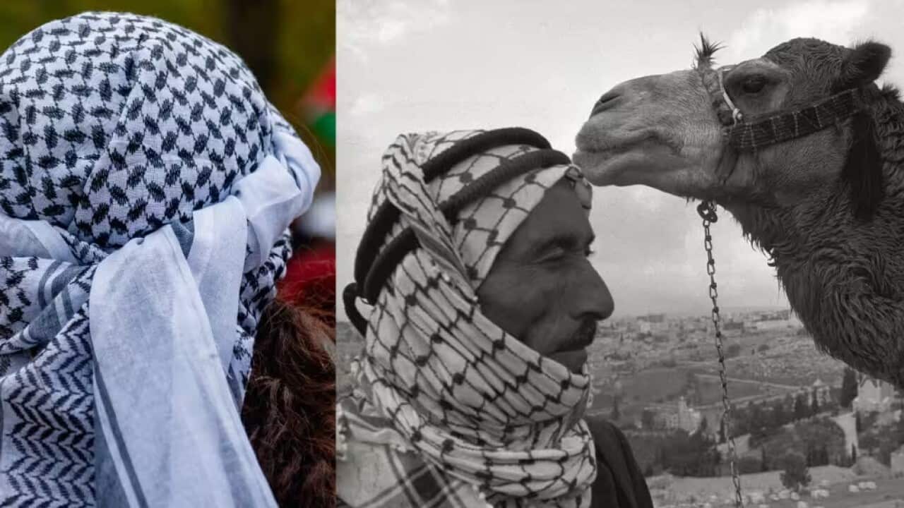 Image for read more article 'READ MORE'