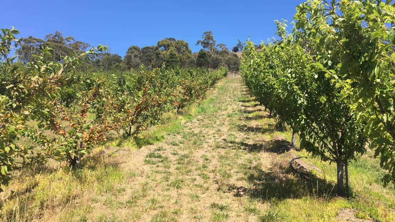 Report calls for rural workers to get a fair deal