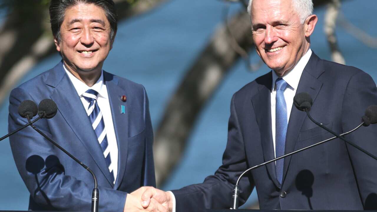 Malcolm Turnbull (R) shakes hands with Japan's PM Shinzo Abe