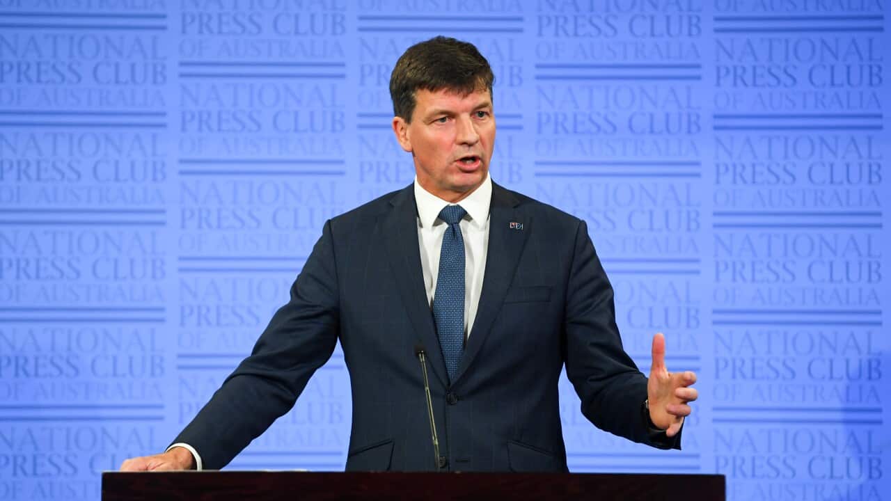 Energy Minister Angus Taylor