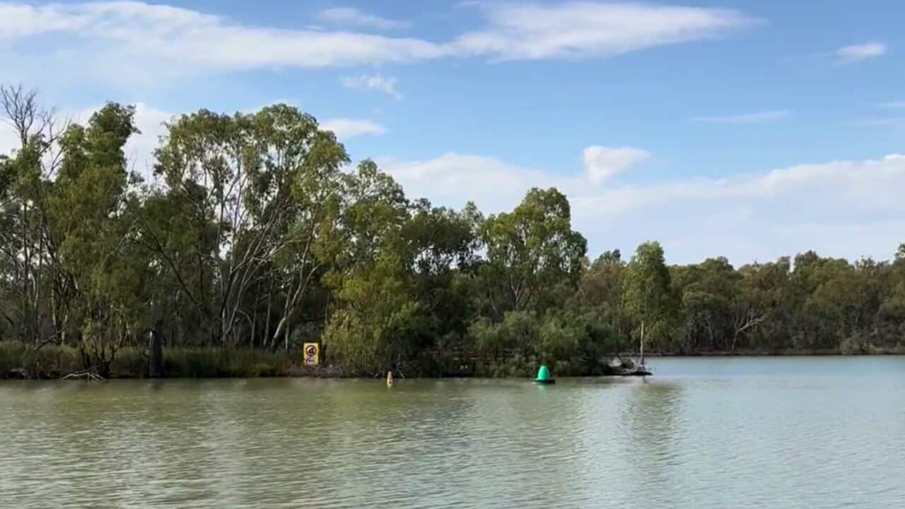 The Murray and Darling Rivers meet at Wentworth (SBS-Deborah Groarke).jpg