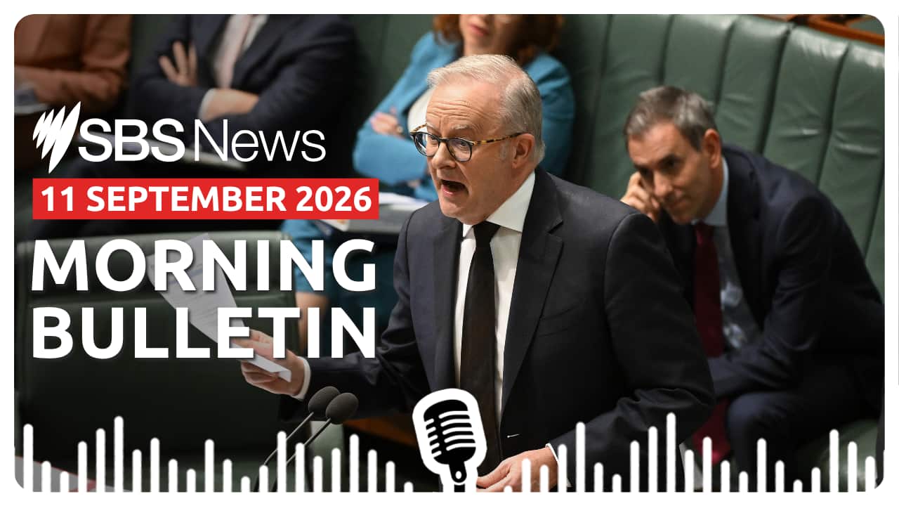 MORNING BULLETIN.png