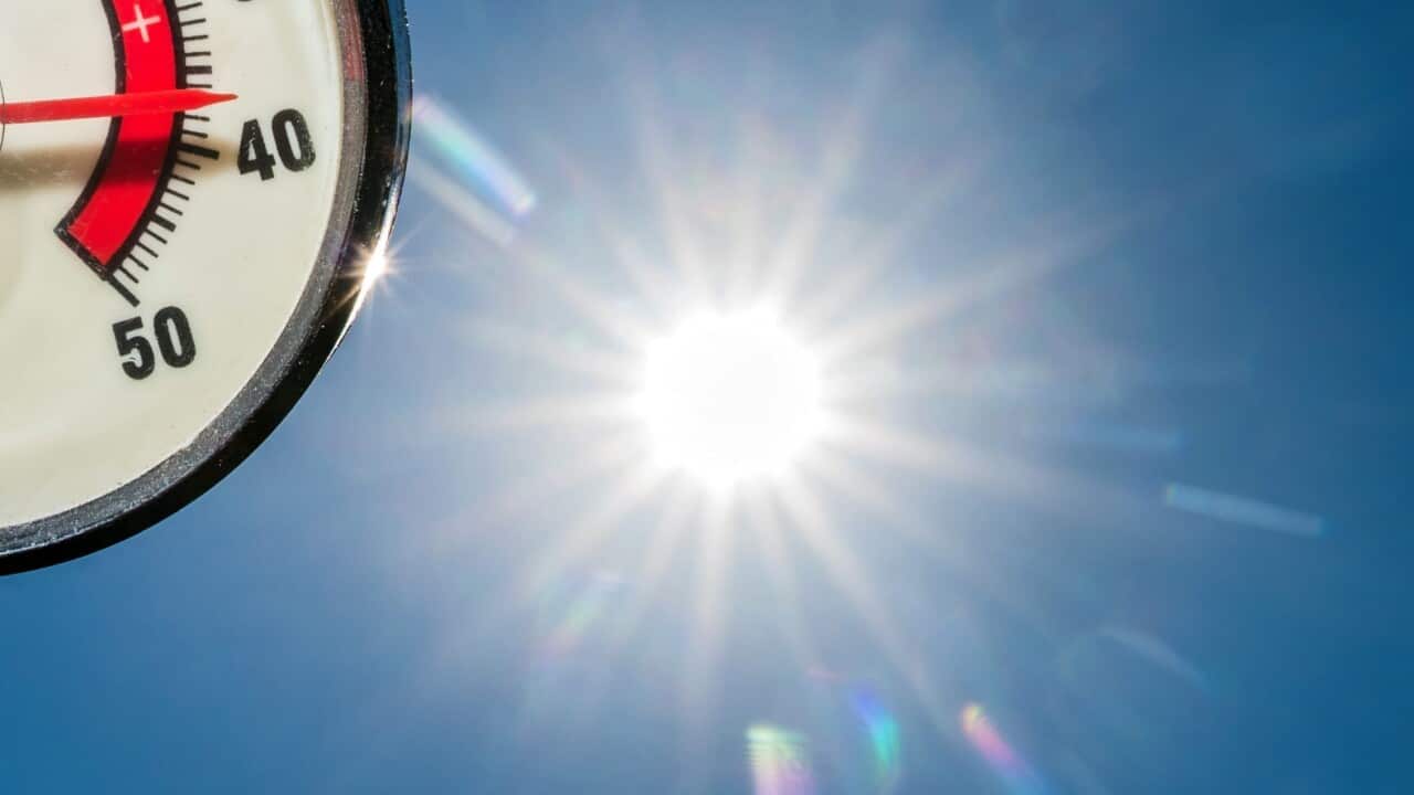 epaselect epa04830938 In the midday sun, a thermometer displays 37 degrees Celcius in a garden in Sieversdorf, Germany, 04 July 2015. EPA/PATRICK PLEUL