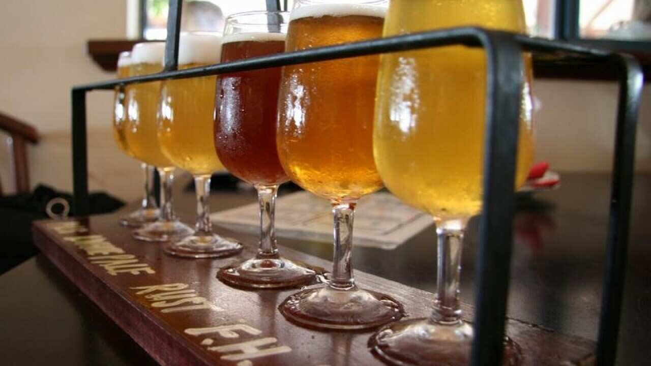 A tasting rack at Feral Brewing Company