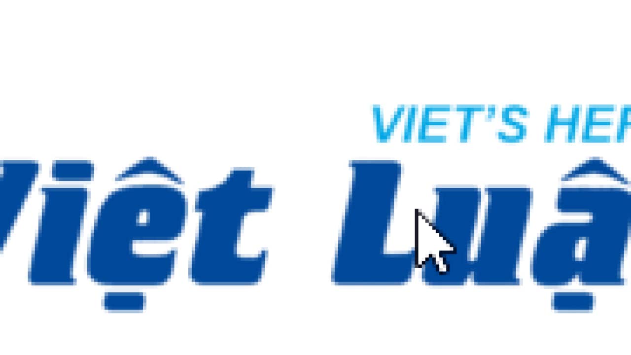 việt luận.png