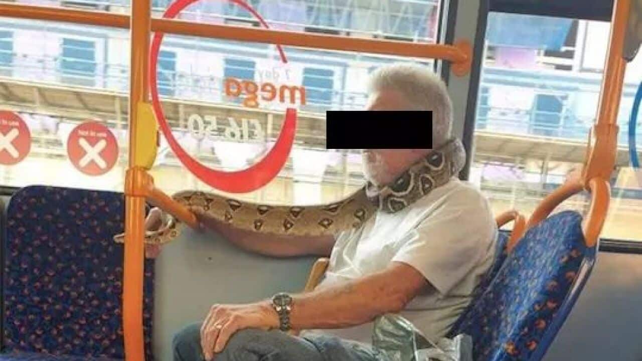Hombre con serpiente como mascarilla facial