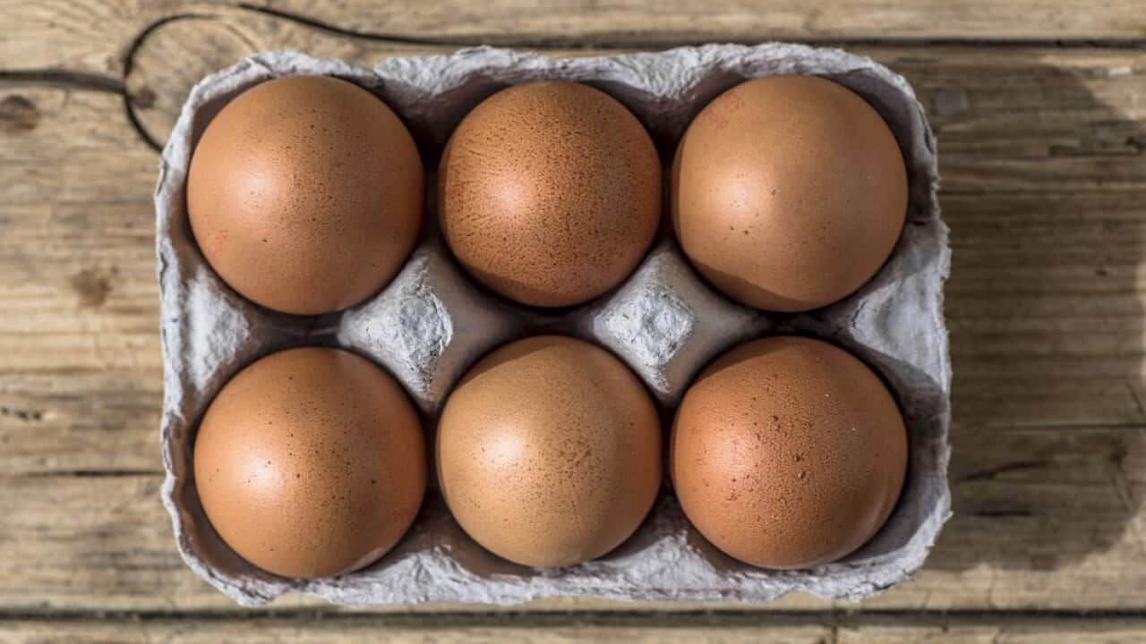 Free range egg producers will be bound by a new information standard.