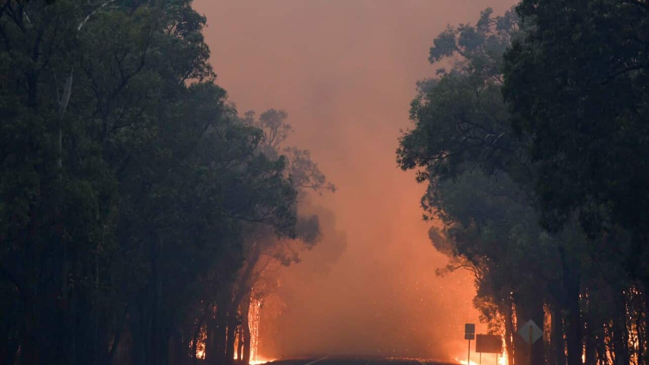 BUSHFIRE