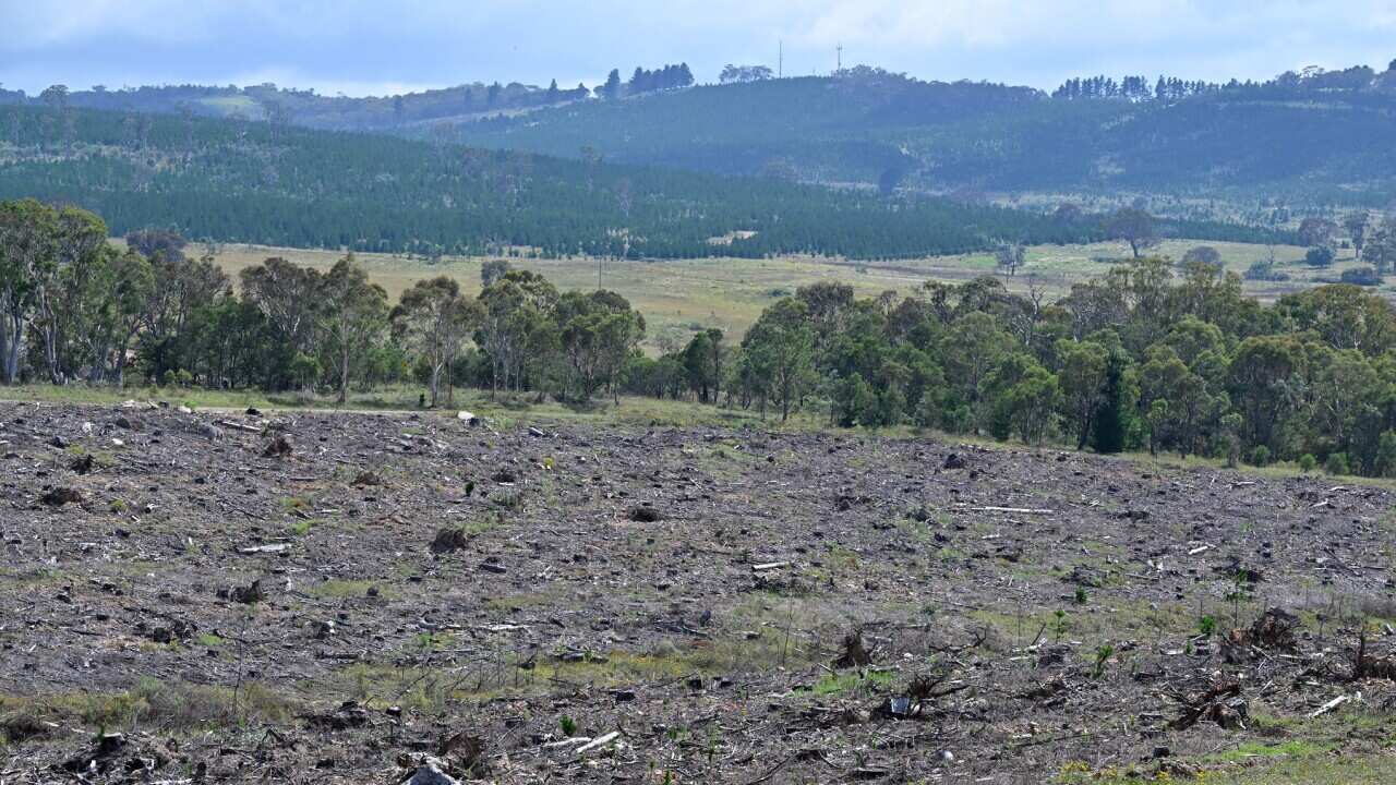 LAND CLEARING NSW