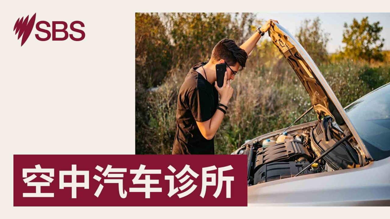 Image for read more article 'READ MORE'