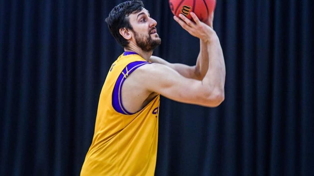 Andrew Bogut