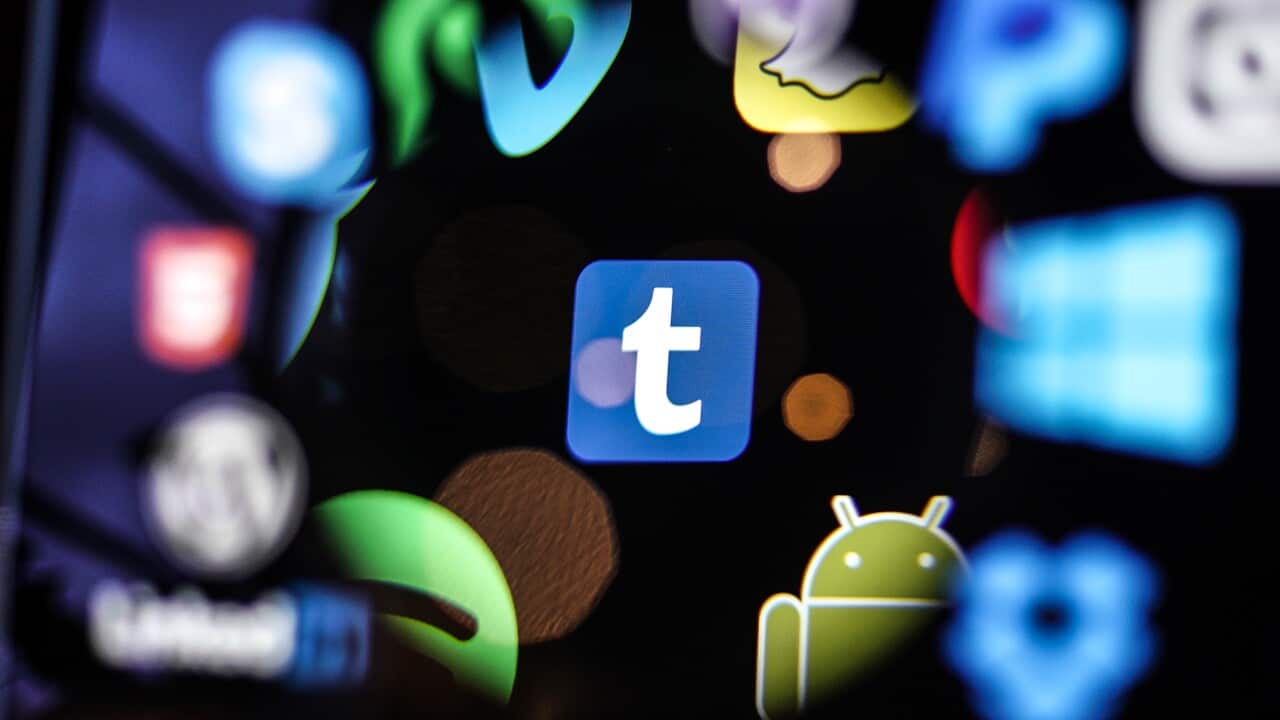 Popular Social Media Logos