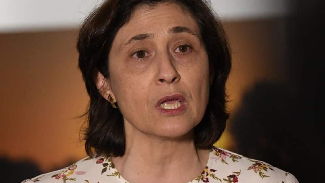 A file image of Victorian Environment Minister Lily D'Ambrosio.