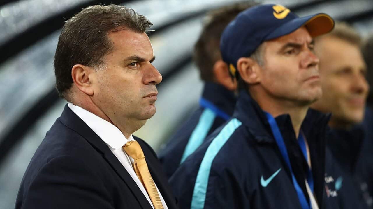 Postecoglou