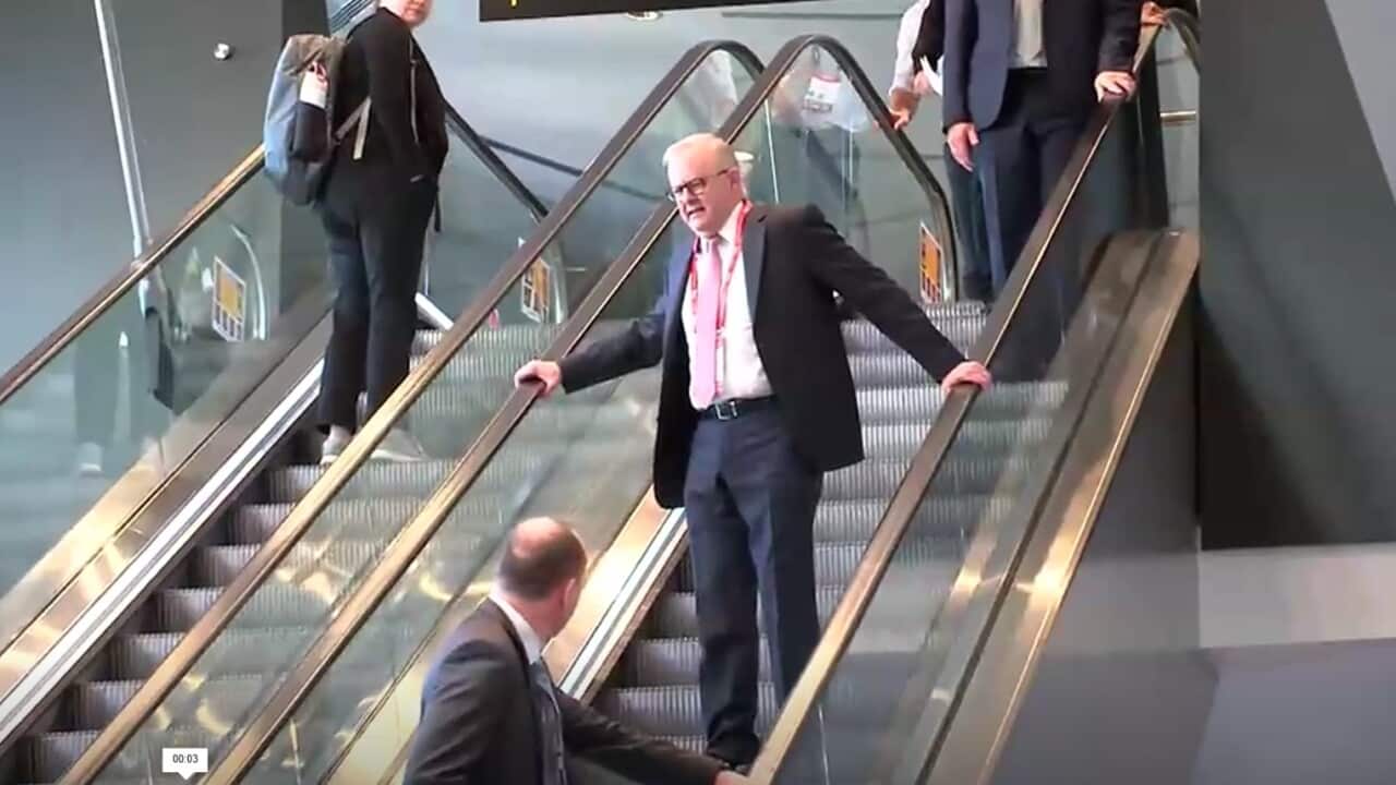 Prime Minister Anthony Albanese.jpeg
