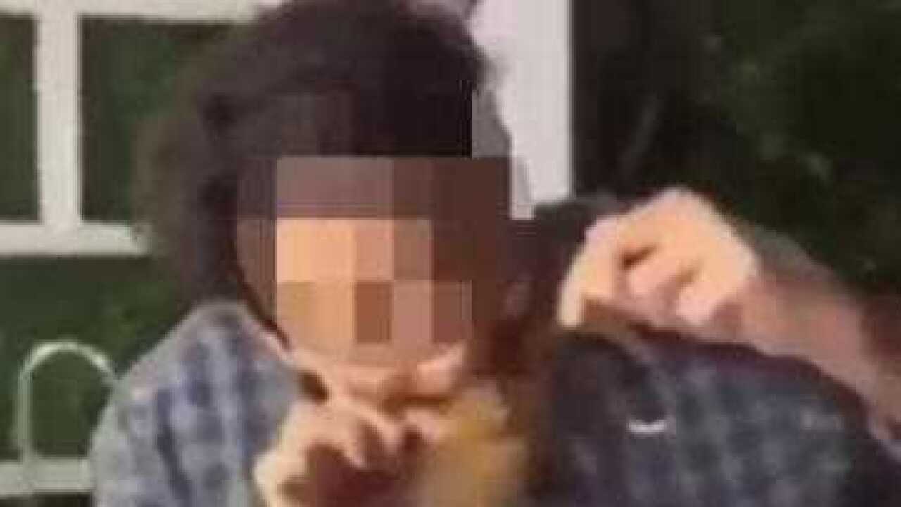 A disturbing video shared by RSPCA shows man biting a possum.