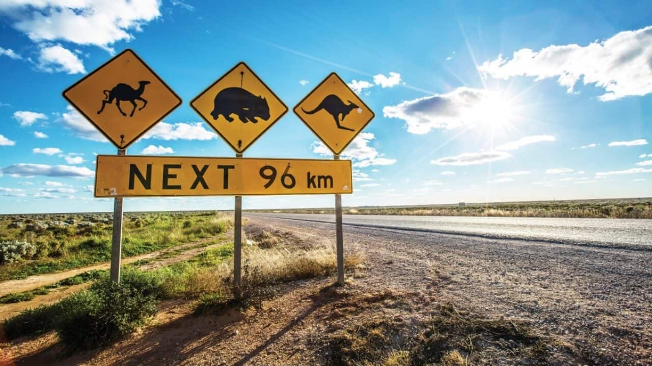 Prime Minister Scott Morrison is expected to unveil a plan to boost jobs in regional Australia