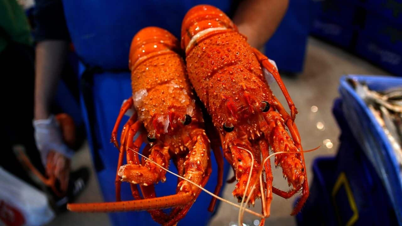 Lobsters