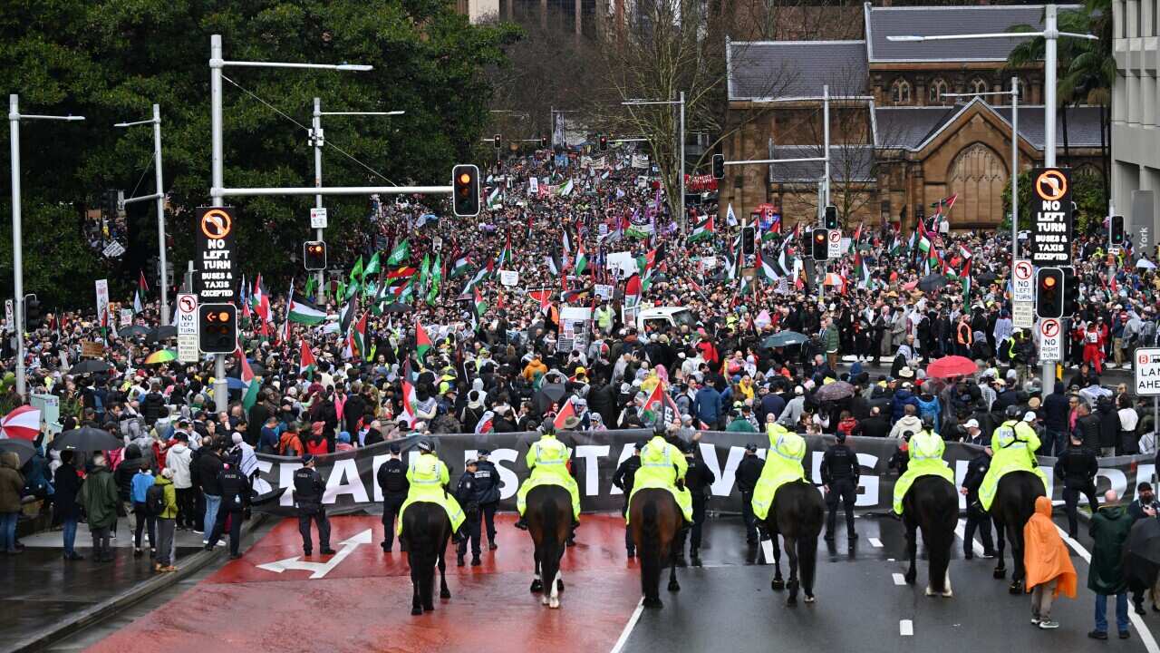 PRO PALESTINE SYDNEY HARBOUR BRIDGE MARCH