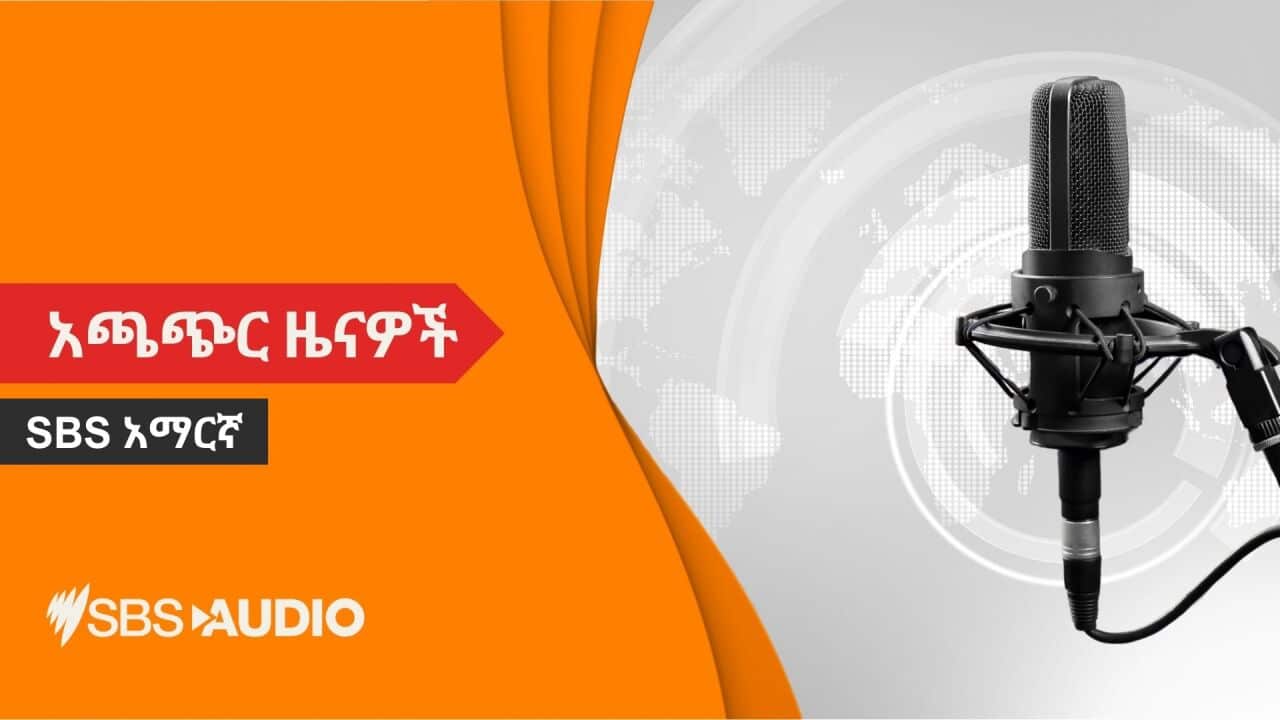 Amharic News Flash 2024.jpg