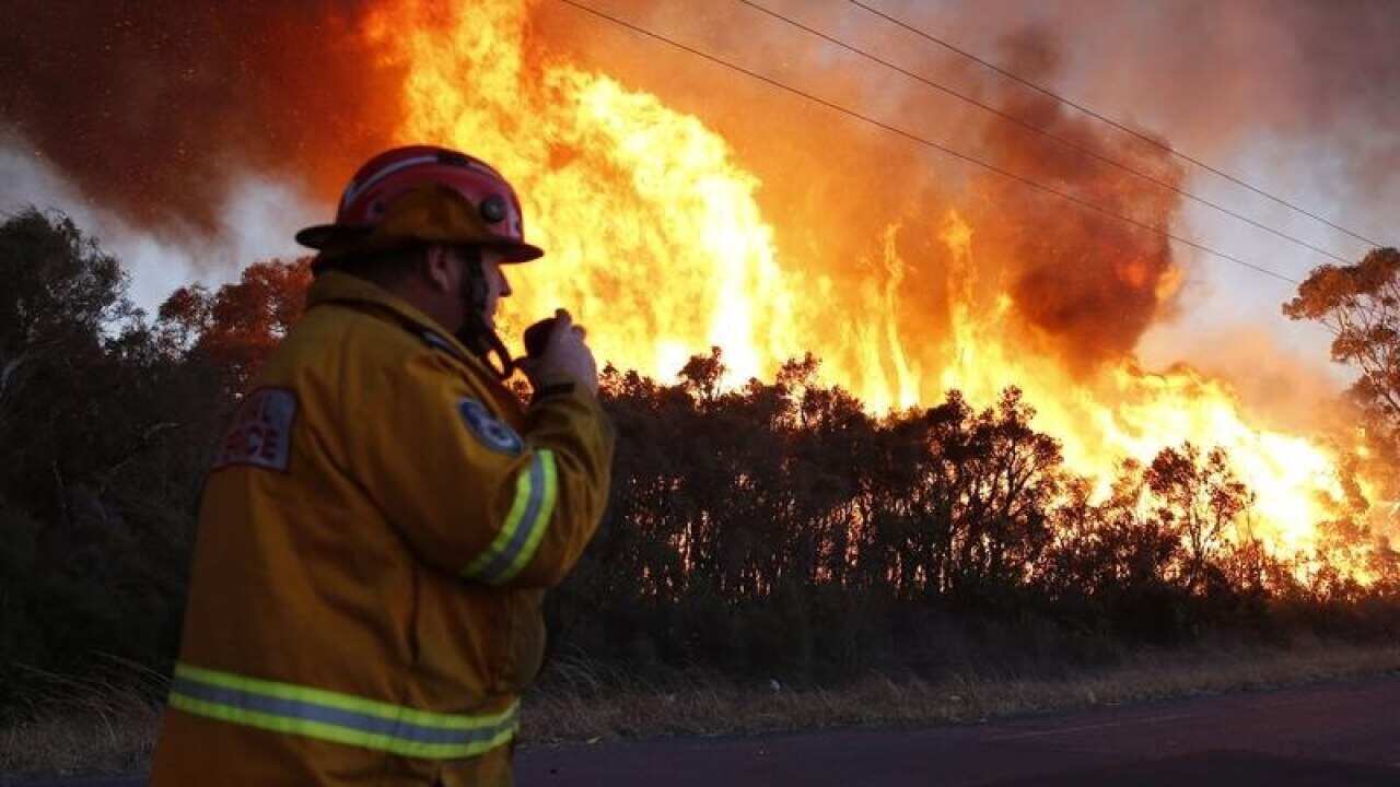 Fire crews back burn areas of bushland at Salt Ash