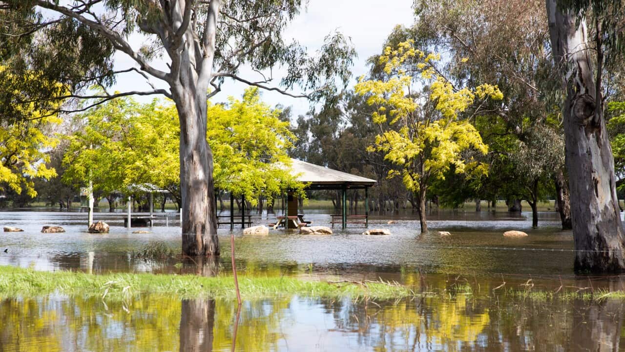NSW FLOODS
