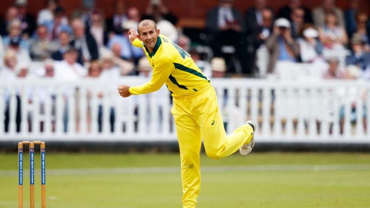 cricket