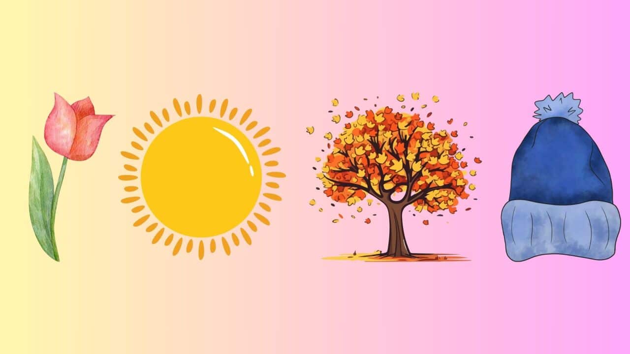 Seizoenen van het jaar