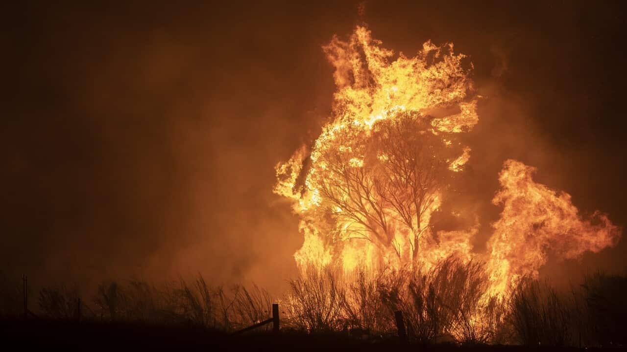 Bushfires were a challenging start to Australia's year