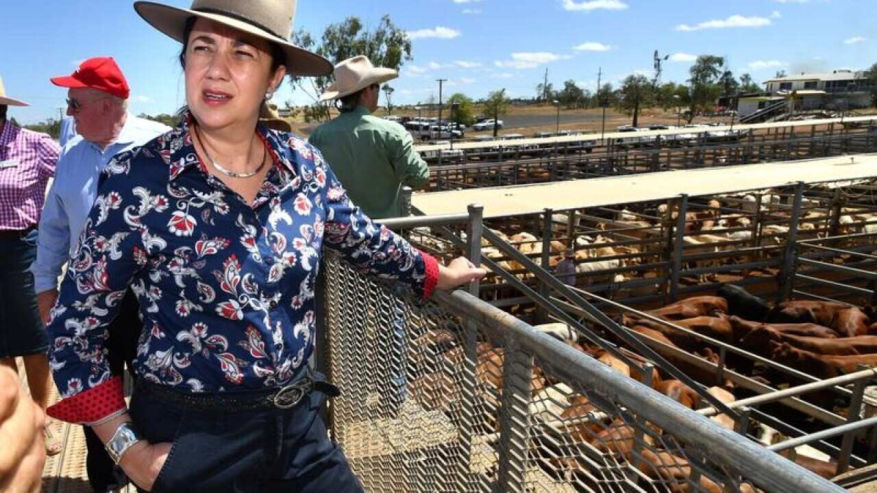 Queensland Premier Annastacia Palaszczuk