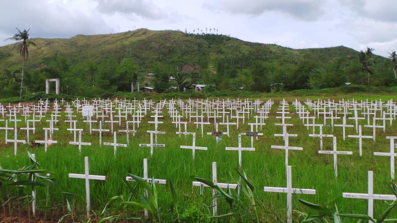 Before Pope Francis visits Tacloban and Palo, Leyte, some