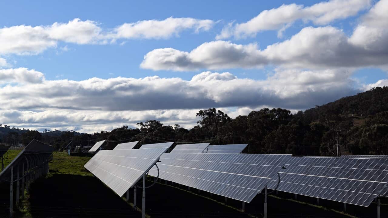 Solar panels are seen at solar farm on the northern outskirts of Canberra.