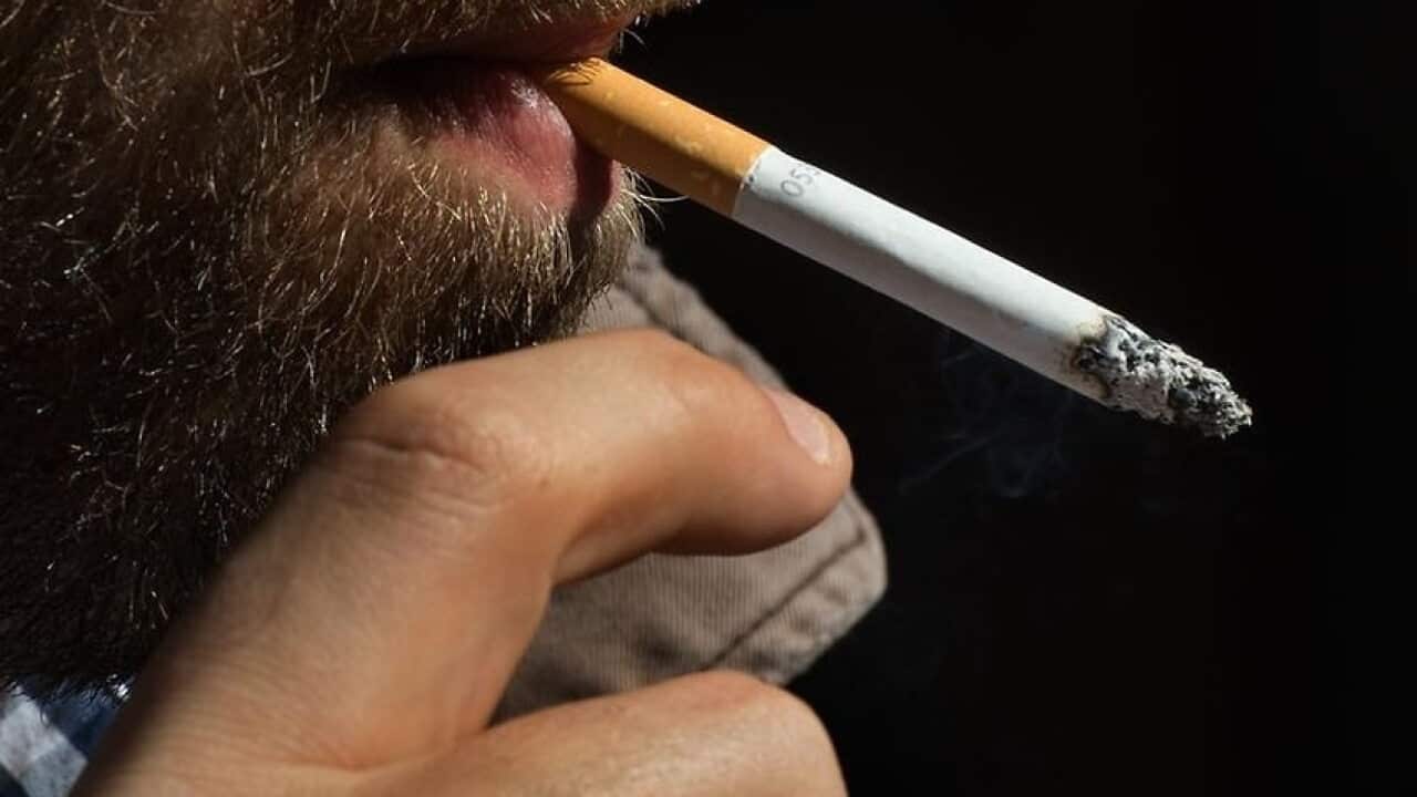 tobacco คือ ชงห้ามสูบบุหรี่ทั้งใจกลางย่านนอร์ทซิดนีย์ tobacco คือ ชงห้ามสูบบุหรี่ทั้งใจกลางย่านนอร์ทซิดนีย์