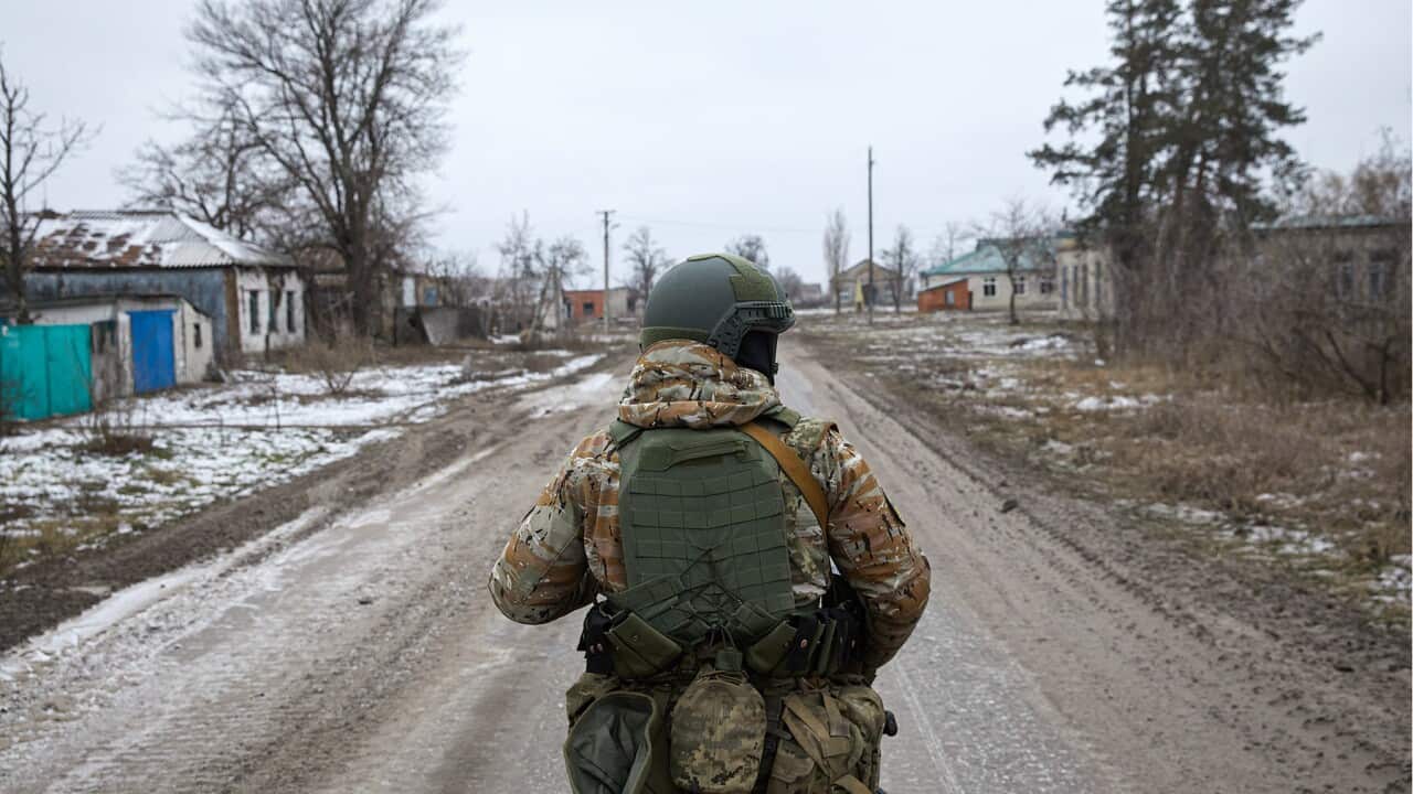A Ukrainian soldier wearing camouflage gear near the northern front of the Donbas