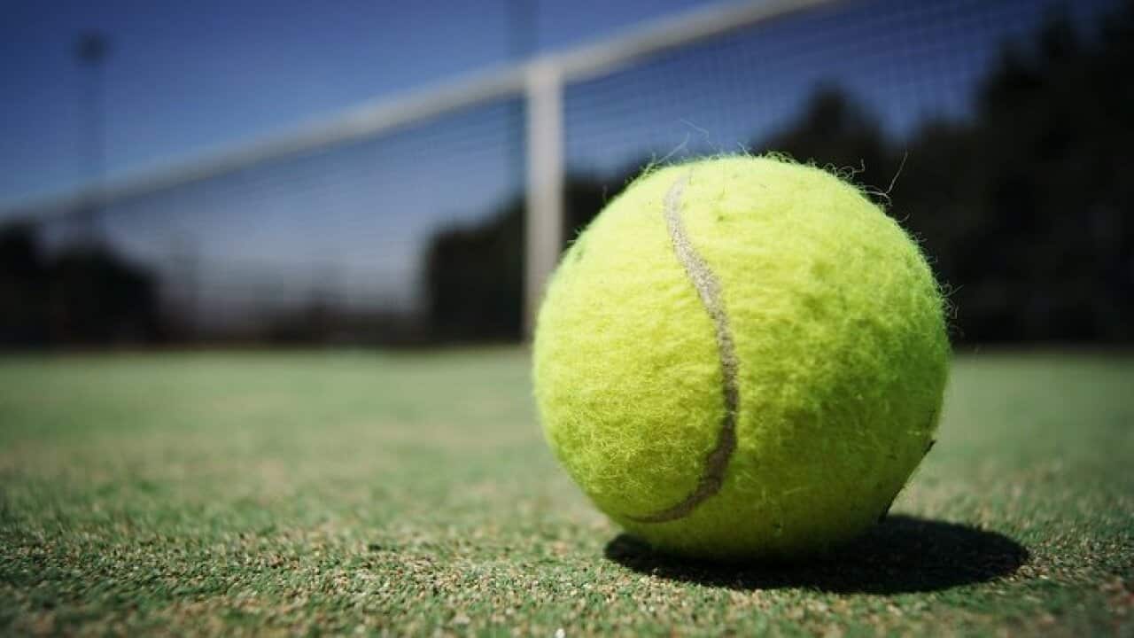 tennis ball