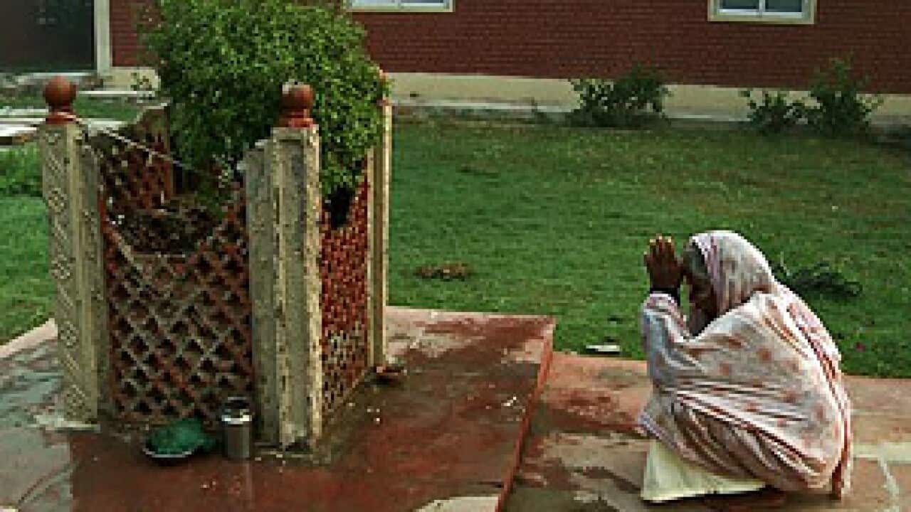 A widow prays to a a tulsi tree shrine in an Ashram