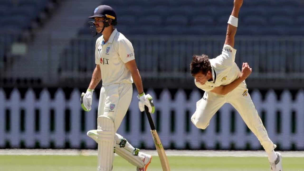 cricket