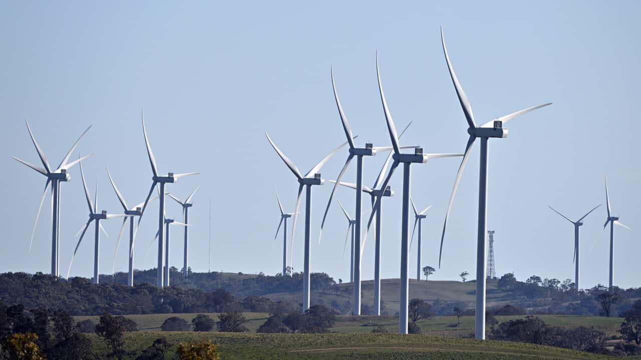 RENEWABLE ENERGY STOCK