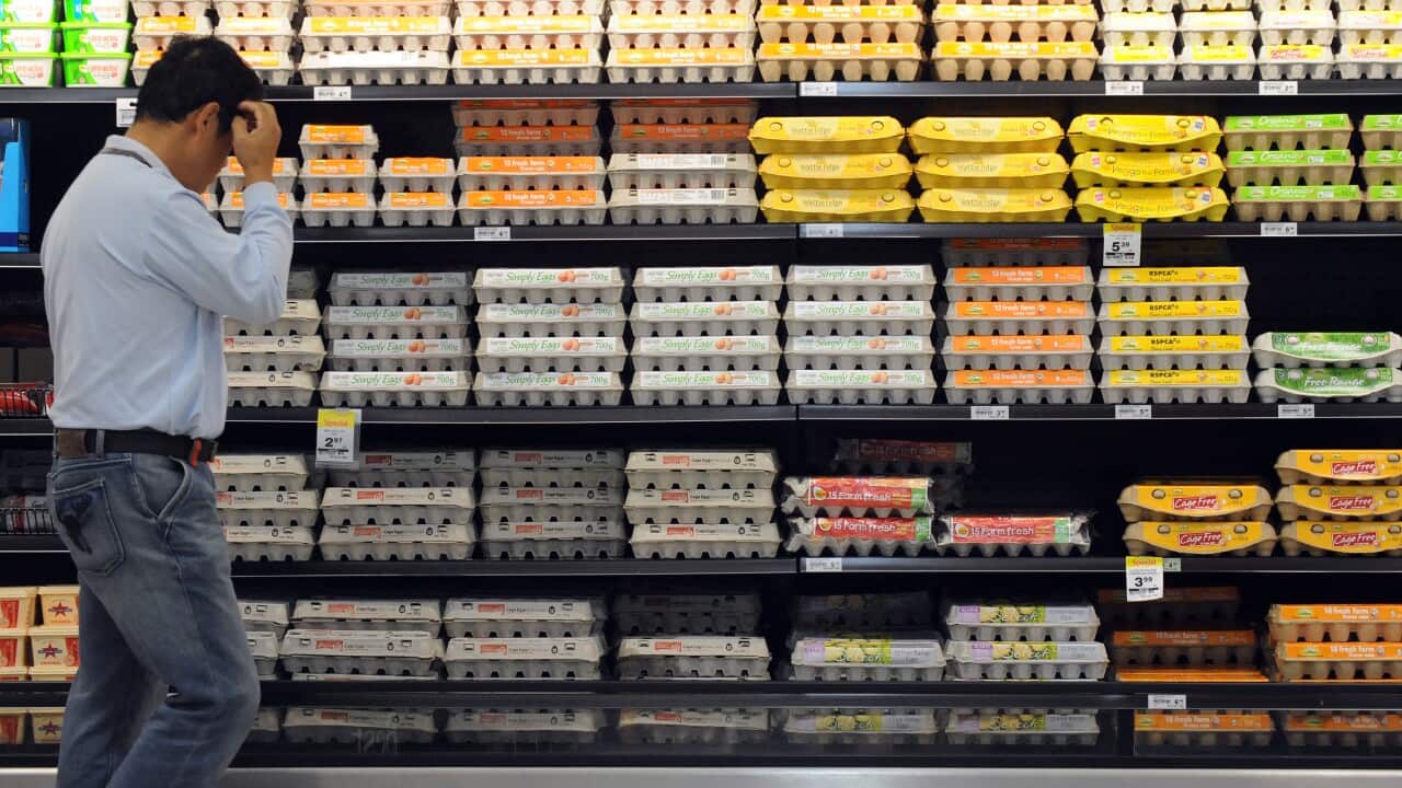 Image for read more article 'READ MORE'