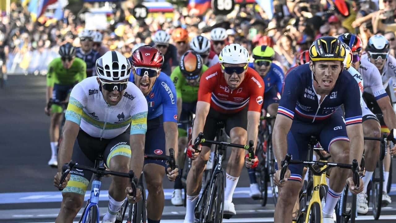 Michael Matthews (left) and Christophe Laporte (right) at the 2022 UCI Road Cycling World Championships Elite Men's Road Race.